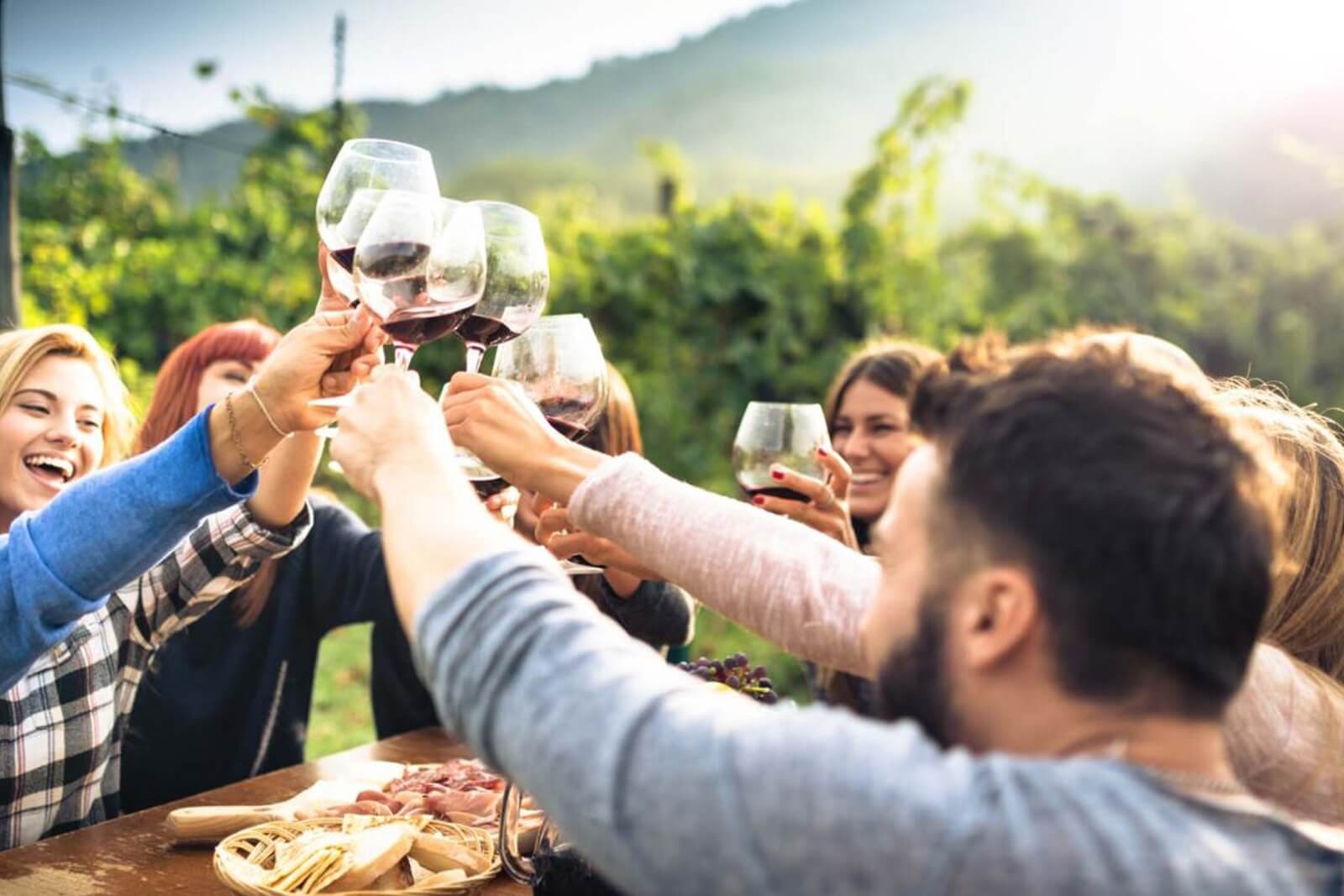 Food and wine tours in Verona: Discover wines and wineries with BEST NCC Verona